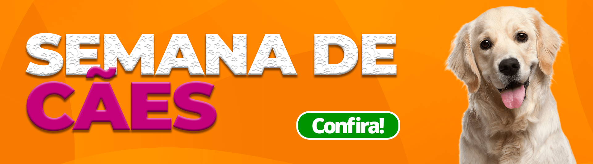 Especial Cães
