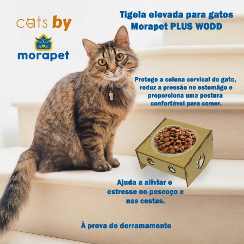 Kit Comedouro/Bebedouro Morapet Wood Suporte Elevado - 3 Unidades