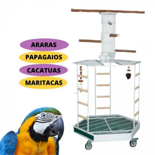 Parque Morapet Mega Toy Arara com Acessórios