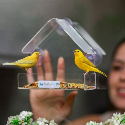 Alimentador Livre Birds Crystal com Ventosa MT513