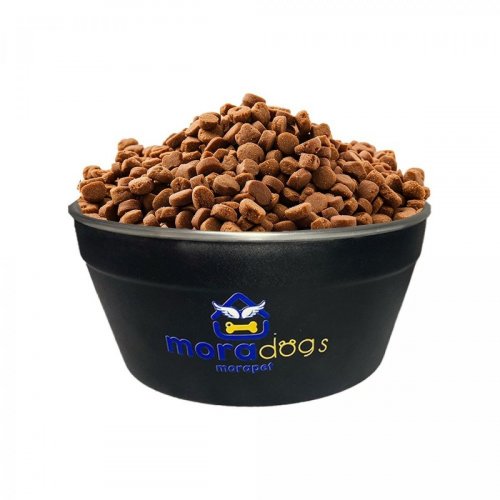 Morapet Max Collor - Comedouro Pesado para Cães e Gatos P