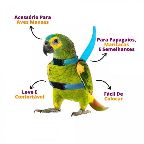 Guia e Peitoral Para Papagaio Morapet