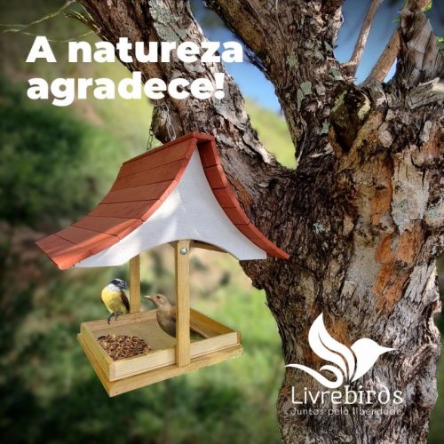 Comedouro Livre Birds Sam1 + Bebedouro Kotori Beija-Flor Super Luxo para Pássaros Livres