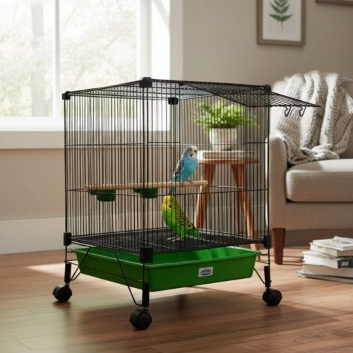 Moradia Multi - pássaros  conecta Cores