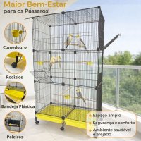 Viveiro Multi-Pássaros Bragança Grand Space Calopsitas Aves