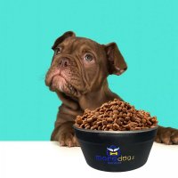 Morapet Max Collor - Comedouro Pesado para Cães e Gatos P