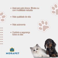 Rampa Pet Moradog - ConfortRamp Plus Com Patamar