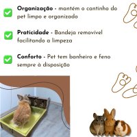 MultiBox MoraRoe 2 em 1 Bandeja + Porta Feno Para Roedores