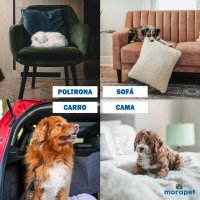 Rampa Para Cão Moradog Mid Dachshund Com Patamar - Morapet