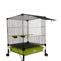 Moradia Multi pássaros  conecta Cores