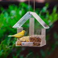 Alimentador Automático Livre Birds Crystal Com Alça MT514