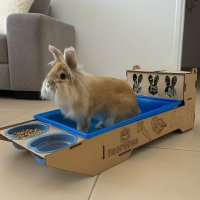 MultiBox 3 em 1 Moraroe Bandeja Com Porta-Feno e Comedouro