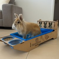 MultiBox 3 em 1 Moraroe Bandeja Com Porta-Feno e Comedouro
