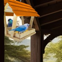 Alimentador Livre Birds PV3