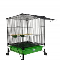 Moradia Multi pássaros  conecta Cores