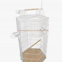 Viveiro Bragança Like Play Papagaios