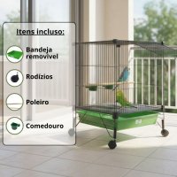 Moradia Multi - pássaros  conecta Cores