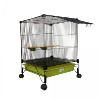 Moradia Multi - pássaros  conecta Cores